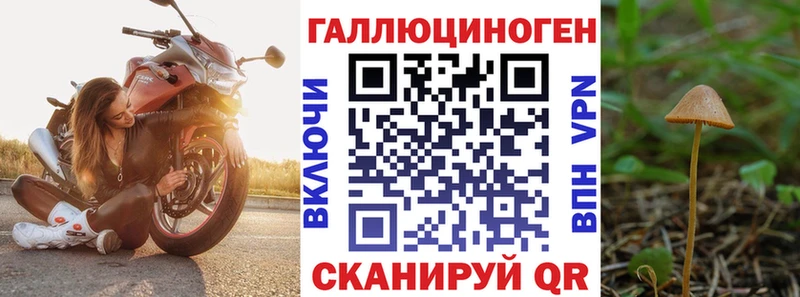Псилоцибиновые грибы мухоморы  Избербаш 